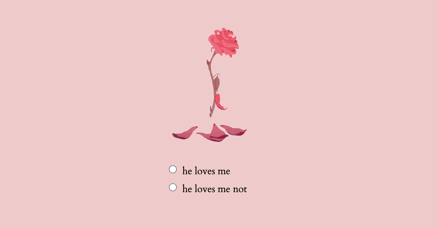 a rose on top of multiple choice options saying love me or love me not