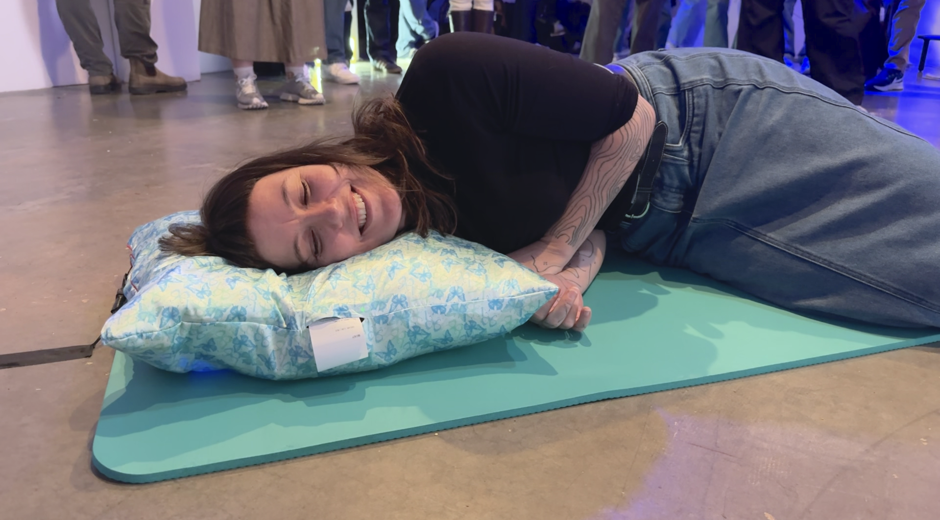 Briefly, Butterfly Dreams installation view