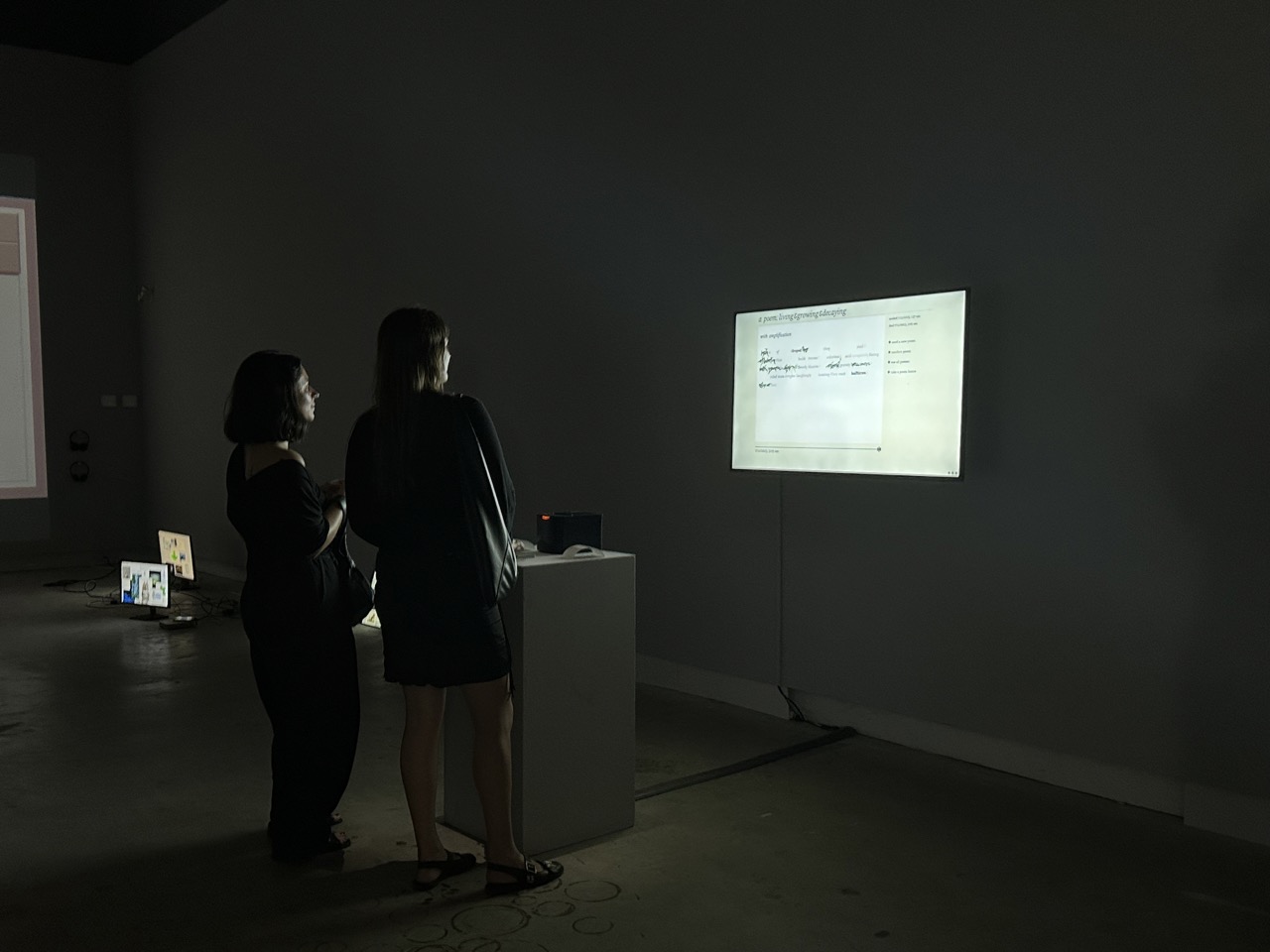 Installation view